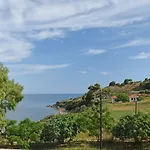 Magdalena Villa *