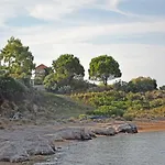 Magdalena Villa *